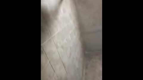 bignastyfilthy online show from 09-30-25, 02:38