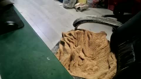 bigpeepdude online show from 06-14-26, 04:42