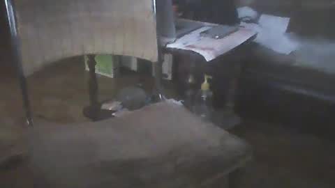 bigpenix online show from 01-15-25, 02:06