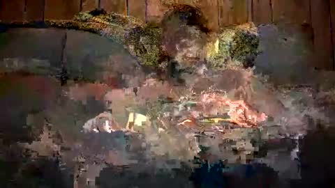 Snapshot of bigwytecock1979 chatting on 12-11-24, 07:31 bigwytecock1979 online show from 12-11-24, 07:31