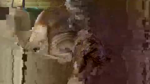 Snapshot of bik40 chatting on 10-01-25, 05:52 bik40 online show from 10-01-25, 05:52