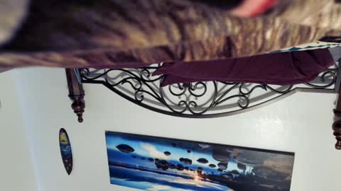 Snapshot of billy1850 chatting on 03-02-25, 08:40 Starlyte online show from 03-02-25, 08:40