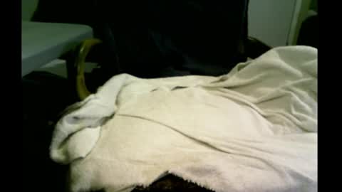 bimale4hotphuk online show from 02-20-25, 09:44