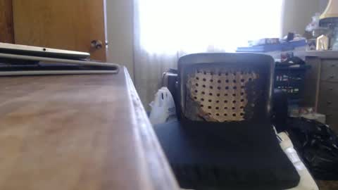 Bimbttm online show from 12-19-24, 05:50