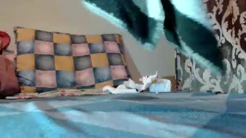 if you love pussy give 1 token - im a poor girl any token counts-my shop video pussy  virgina  hairy pussy 1 token online show from 03-10-25, 09:07