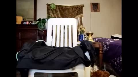 blacccocc4u2 online show from 03-29-26, 12:16