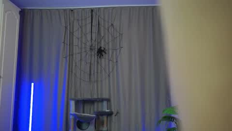 Shall we repeat online show from 11-26-25, 03:57