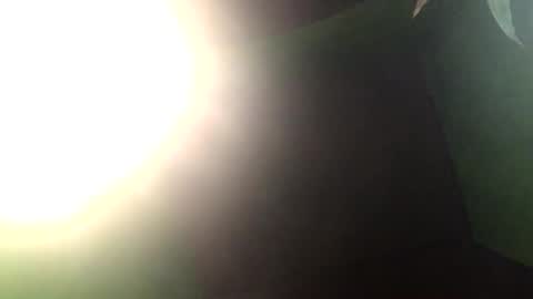 Snapshot of blackasiancockts chatting on 12-27-24, 01:50 Crystal online show from 12-27-24, 01:50