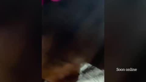 Lilly and Bryson online show from 12-03-25, 03:58