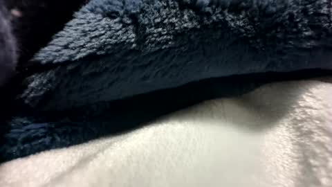 Snapshot of blackhammer8787 chatting on 12-08-24, 06:43 blackhammer8787 online show from 12-08-24, 06:43