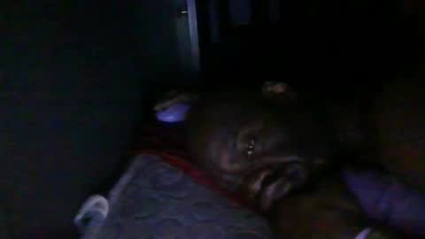 blackteddybear online show from 02-18-26, 03:24