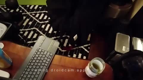 Blackjag00 online show from 02-13-25, 10:12