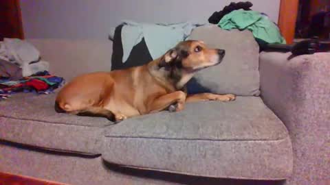 blaw_1321 online show from 03-08-25, 05:59