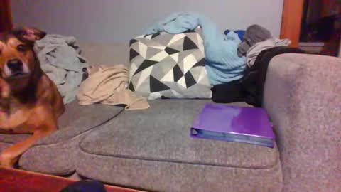 blaw_1321 online show from 09-19-25, 07:43