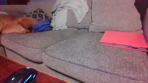 blaw_1321 online show from 12-01-25, 02:05