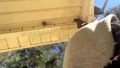 Snapshot of blaxkasta chatting on 01-04-25, 05:05 Black Clover online show from 01-04-25, 05:05