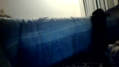 blayne711 online show from 12-06-24, 11:00