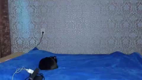 bloemetjes online show from 10-16-25, 10:00