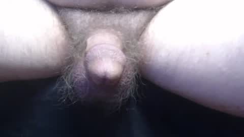 bluebee420 online show from 11-13-25, 10:36