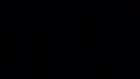 blueishgoldish online show from 03-23-26, 12:14