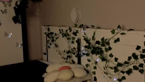 Dolores online show from 04-25-26, 05:54