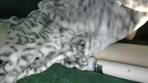 lyss online show from 10-28-25, 09:39