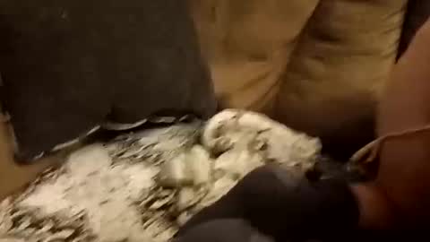 Snapshot of bnaa2m chatting on 09-28-25, 01:49 Assdrtyasuwant online show from 09-28-25, 01:49