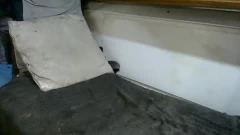 Snapshot of boatfun56 chatting on 02-12-26, 11:00 boatfun56 online show from 02-12-26, 11:00