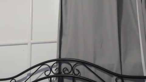 Snapshot of bob123478 chatting on 12-15-24, 10:28 bob online show from 12-15-24, 10:28