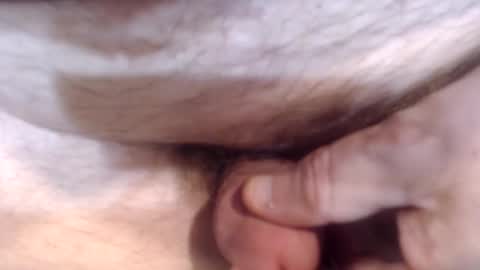 bobswan online show from 12-26-24, 05:19