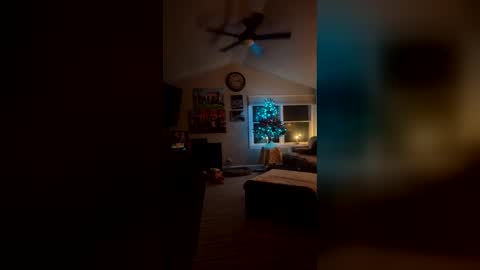 Snapshot of bodiddly64 chatting on 12-14-25, 06:19 bodiddly64 online show from 12-14-25, 06:19