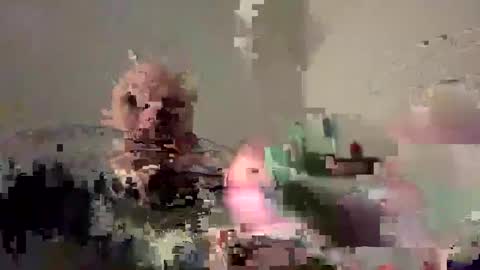 Bodyart85 19 online show from 12-04-24, 05:55