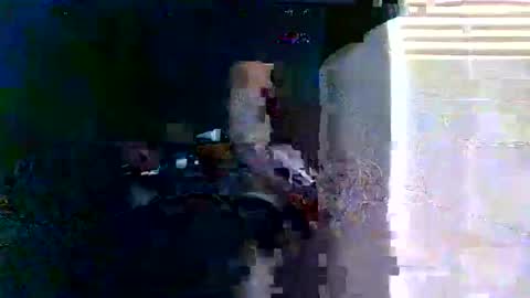 Bodyart85 19 online show from 02-06-26, 10:35