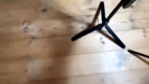 Nail and Olivia online show from 12-04-25, 10:57