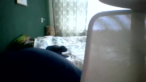 Snapshot of bomba8111 chatting on 01-20-25, 11:45 bomba8111 online show from 01-20-25, 11:45