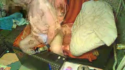 Snapshot of bomber59potsdam chatting on 01-06-25, 09:32 Bomber59potsdam online show from 01-06-25, 09:32