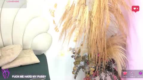 bonieklent online show from 02-03-26, 03:26