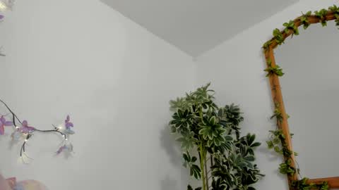   online show from 10-12-25, 11:48