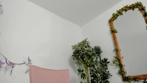   online show from 10-14-25, 12:00