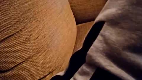 Snapshot of bonny8723 chatting on 10-18-25, 07:25 bonny8723 online show from 10-18-25, 07:25