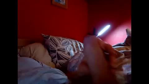 bonzoband online show from 02-09-26, 11:25