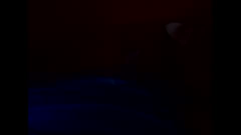 bonzoband online show from 03-23-26, 09:02