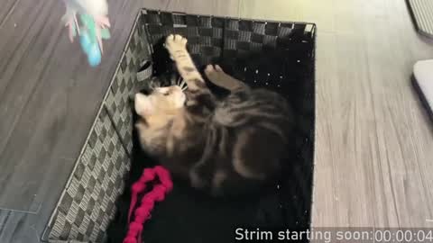 Booker Baxton online show from 12-04-24, 04:10