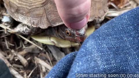 Booker Baxton online show from 12-21-24, 04:09