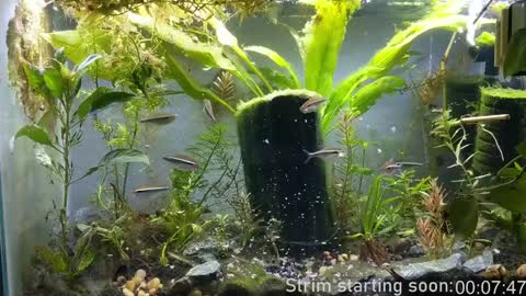 Booker Baxton online show from 12-25-24, 04:01