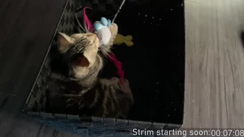 Booker Baxton online show from 01-03-25, 04:00