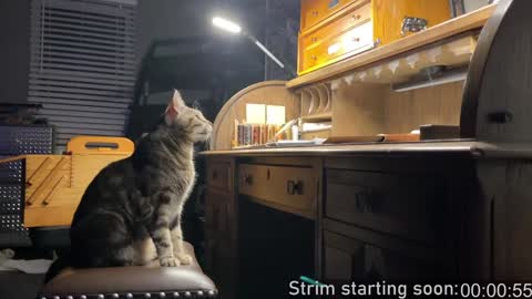 Booker Baxton online show from 01-09-25, 04:08