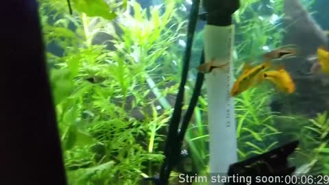 Booker Baxton online show from 02-08-25, 04:03