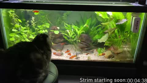 Booker Baxton online show from 02-09-25, 04:04