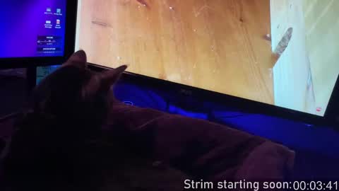 Booker Baxton online show from 09-20-25, 03:07